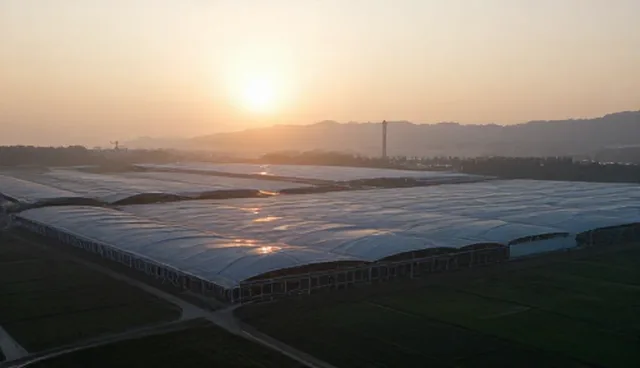 策划:适用条件分析及选型关注点